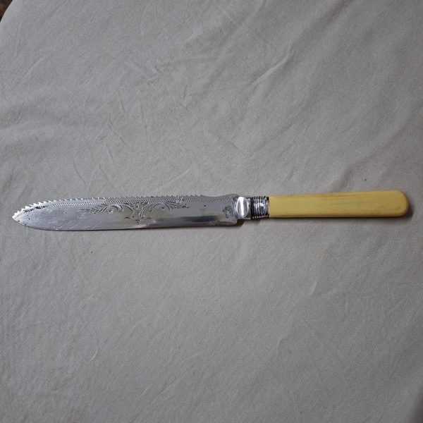 Antique Bread cake knife with silver hall marked collar - pretty etched design