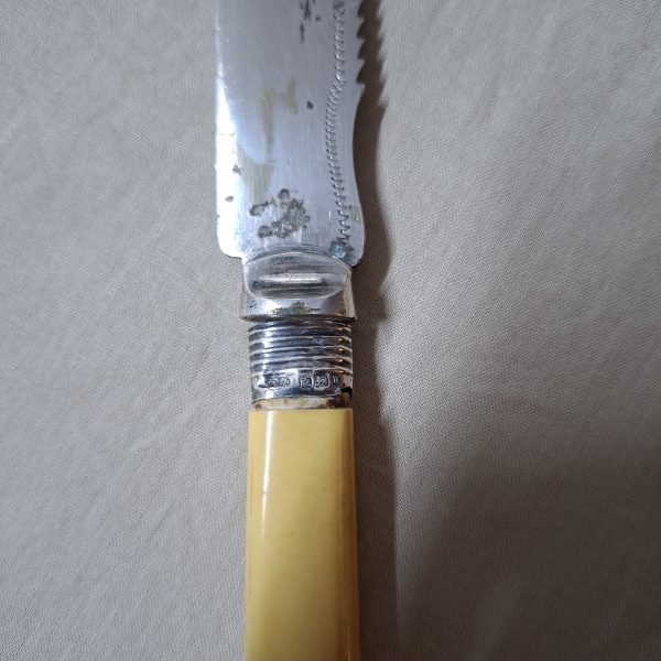 Antique Bread cake knife with silver hall marked collar - pretty etched design - Image 5