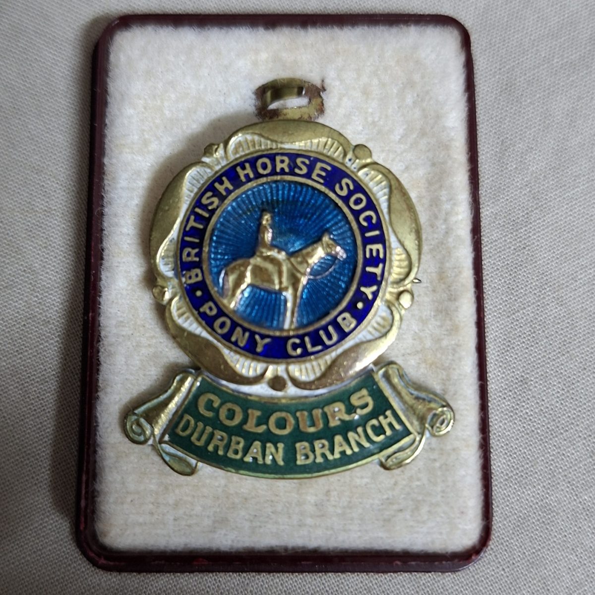 Enamel Horse Badge Pin - Pony Club - British Horse Society - Colours Durban Branch