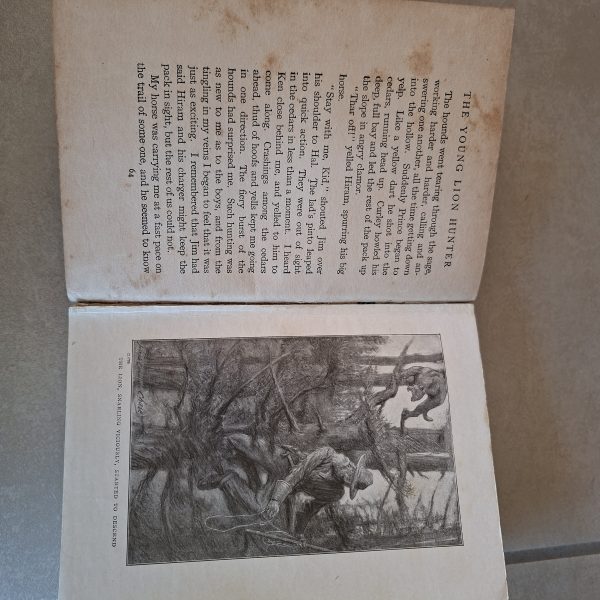 The Young Lion Hunter - Zane Grey - Published Circa 1930.   Hardcover - Image 5