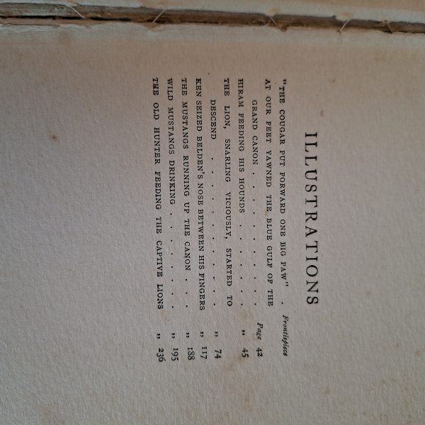 The Young Lion Hunter - Zane Grey - Published Circa 1930.   Hardcover - Image 7