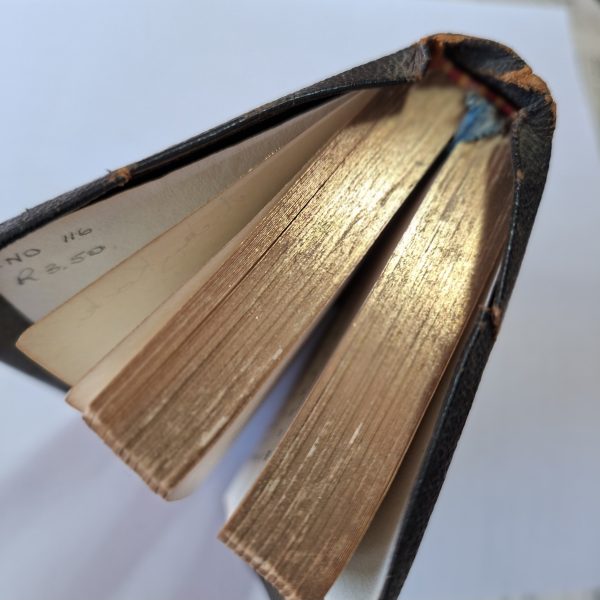 Afrikaans Psalms en Gesange met die Evangeliese Gesange - leather cover 1965 holy bible - Image 6