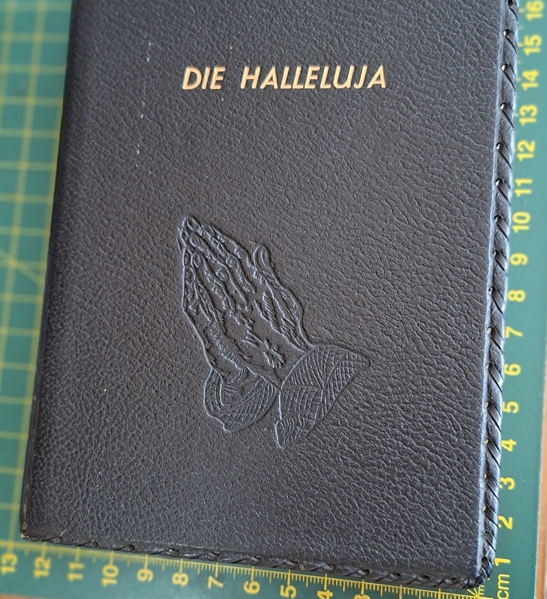 Afrikaans Die Halleluja Holy Bible Psalms, Gesange en ander Leiedere