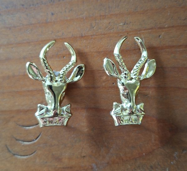 Pair SA Infantry? badges pins SAI