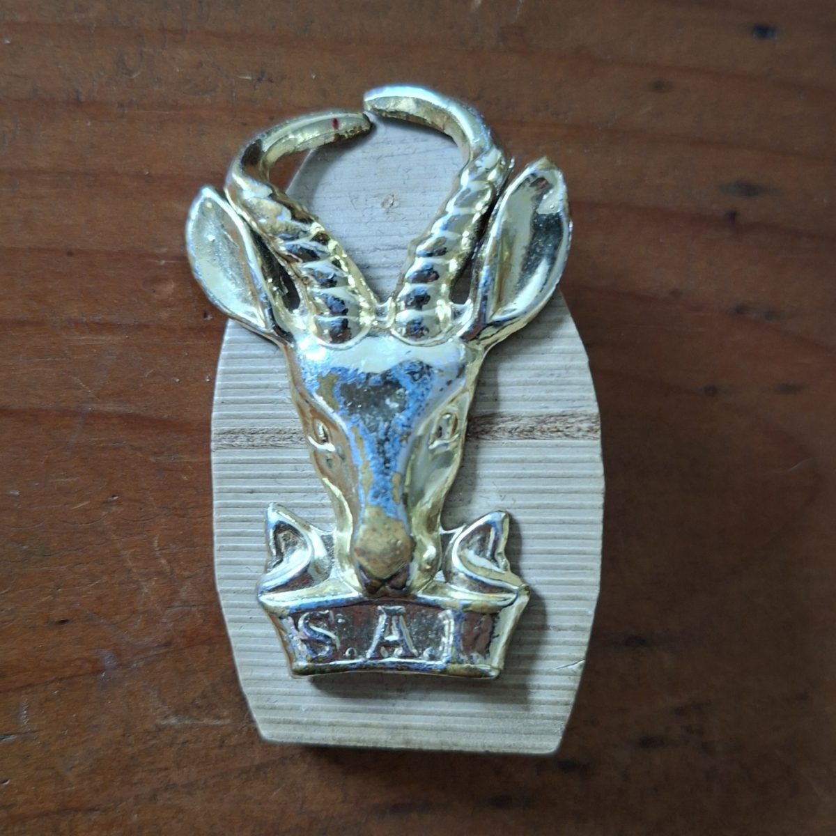 Lg SA1 springbok badge.  Screw on brass back