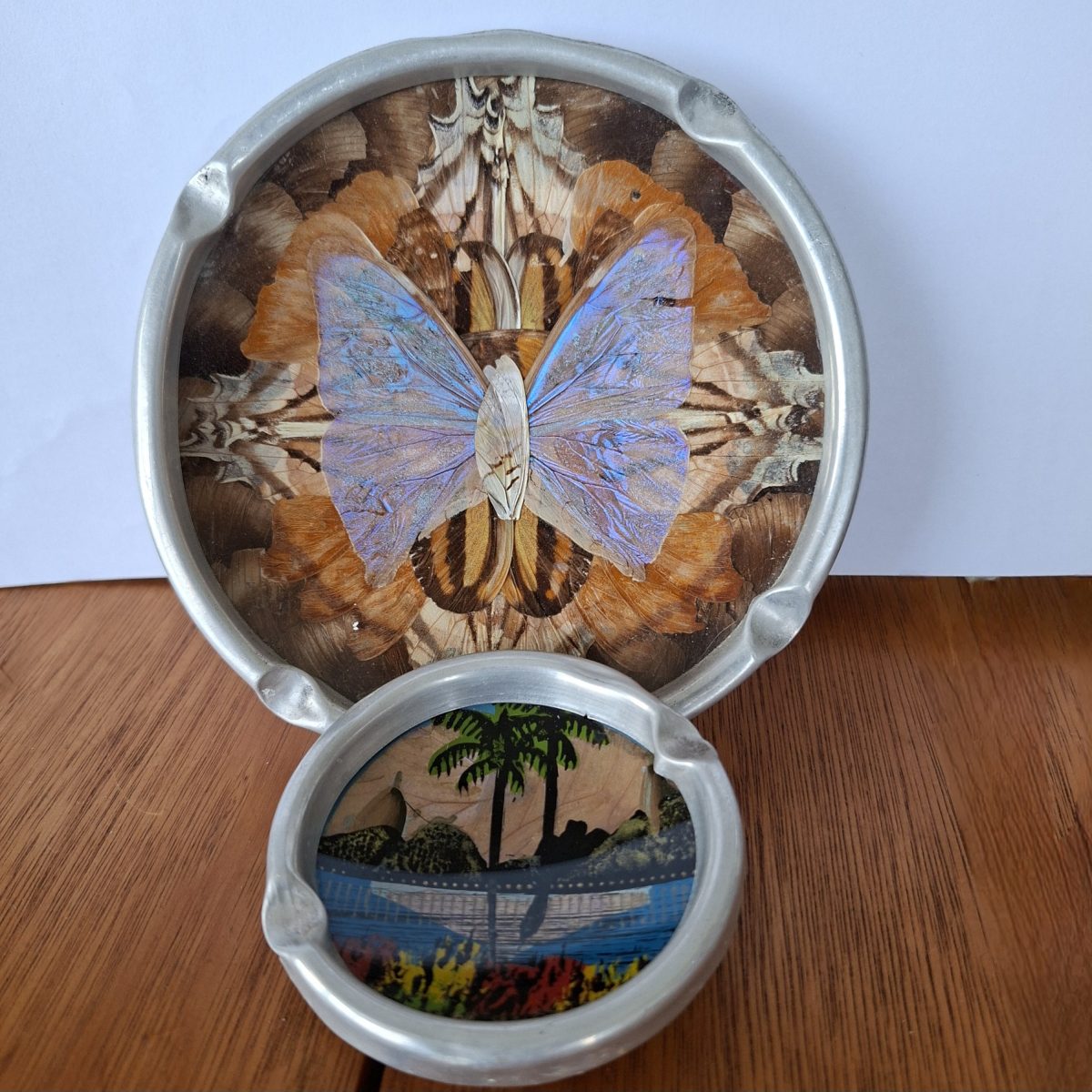 Butterfly wing wall decoration / pin trays