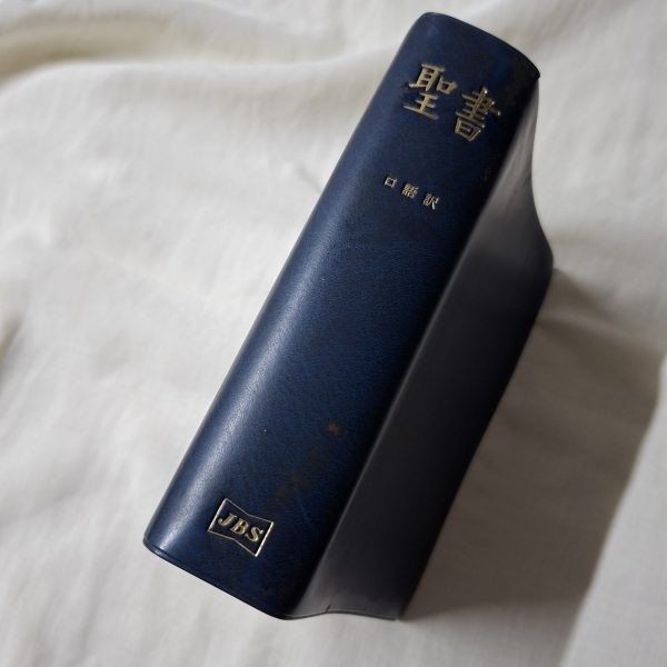 Japanese Scripture Look Holy Bible Old Testament in Japanese 1955 reprint 2001 - The Bright Beetle