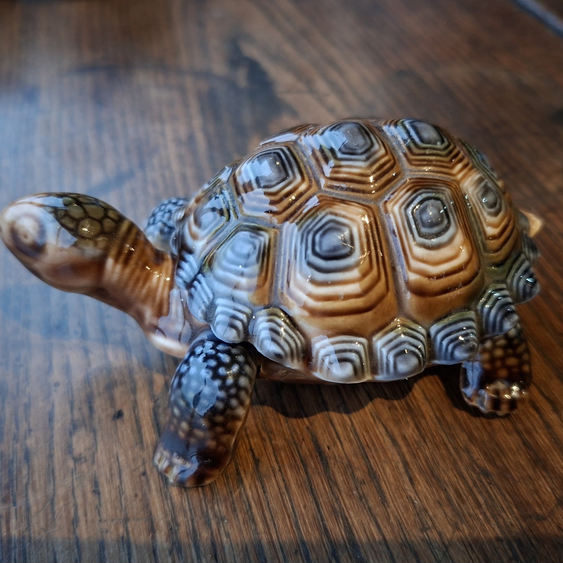 Tortoise trinket earing box - Wade porcelain - 10cms x 5cms