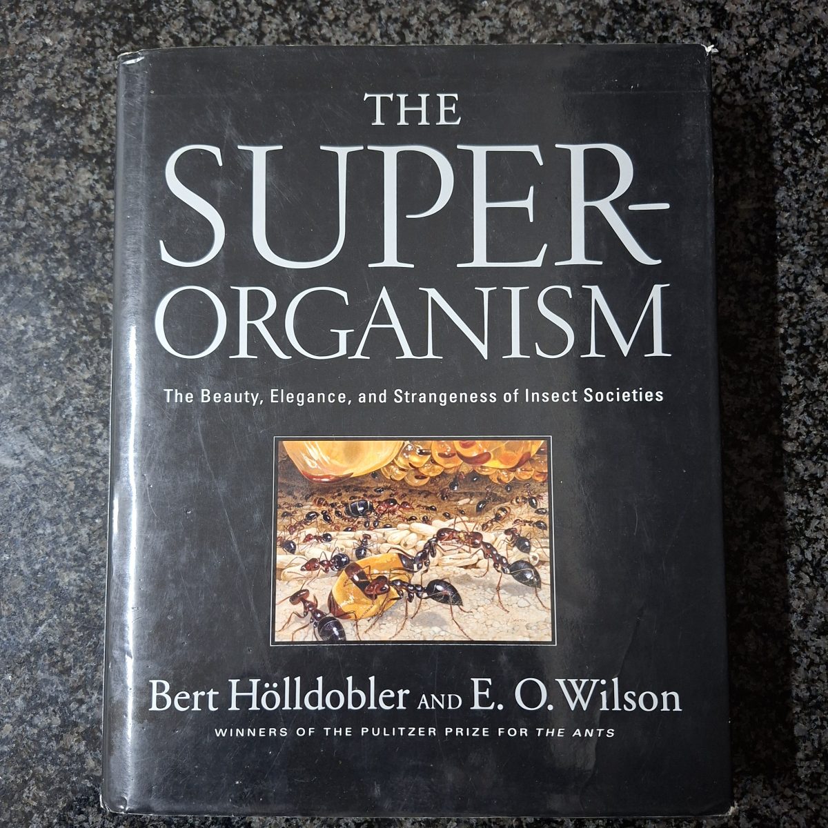 The Super-organism Bert Holldobler E O Wilson  -  Natural History book