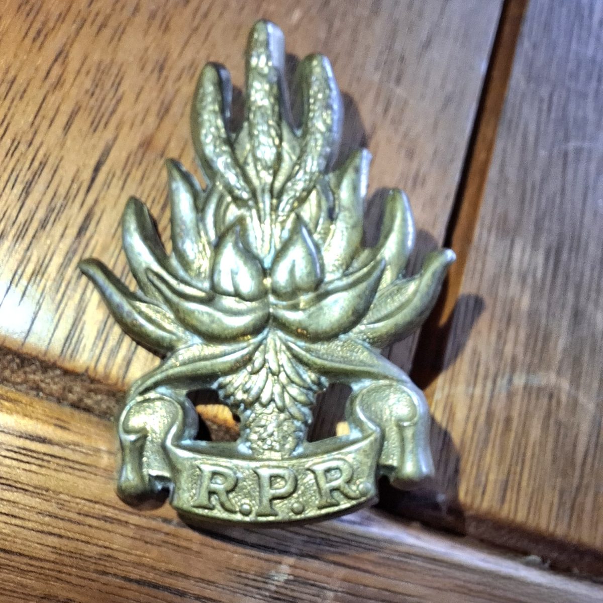 SA army Regiment Piet Retief Cap Badge