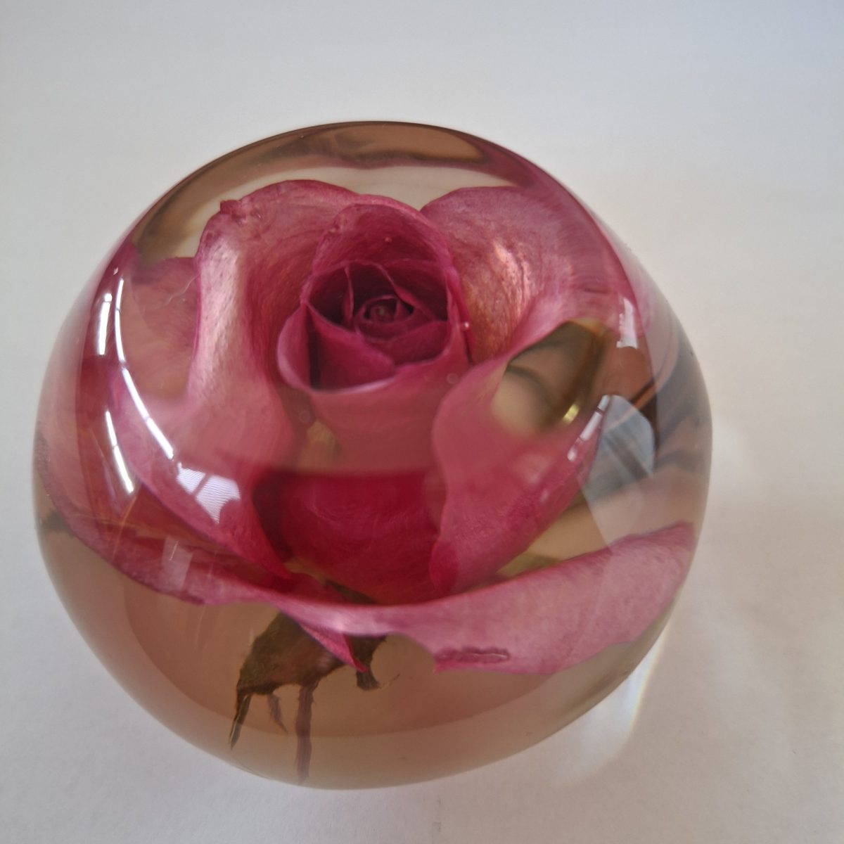 Paperweight - with resin encased rose
