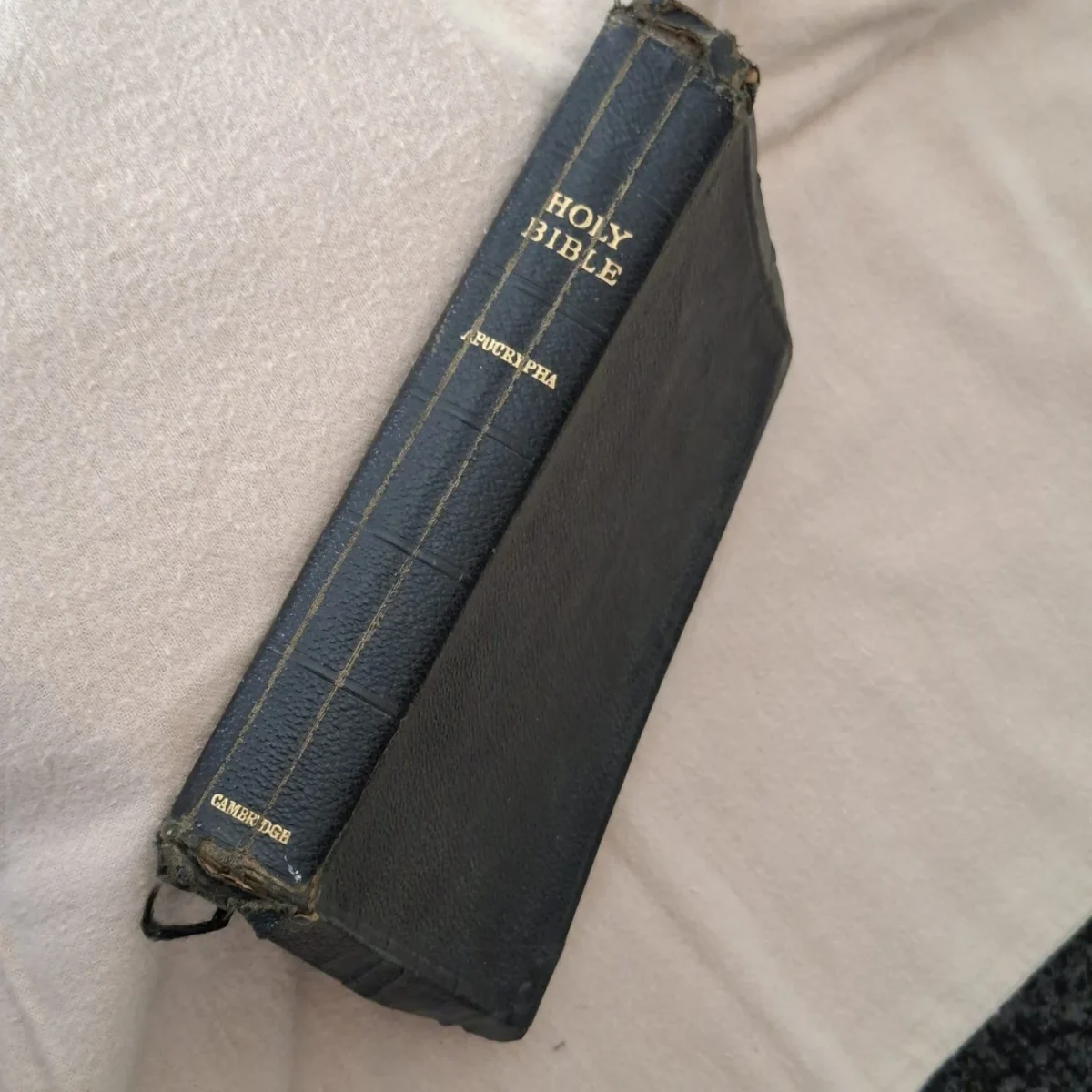 Holy Bible Old and new Testaments and the Apocrypha